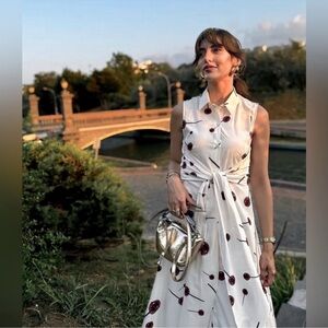 Zara ZW Collection Poplin Lollipop Dress